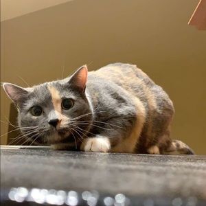 Meet your Posher, Jenna